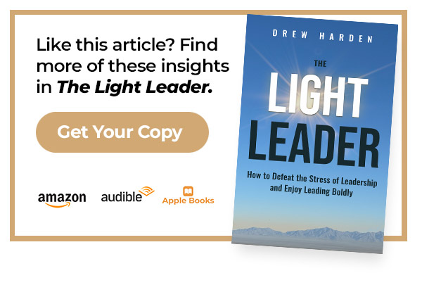 leadership stress book